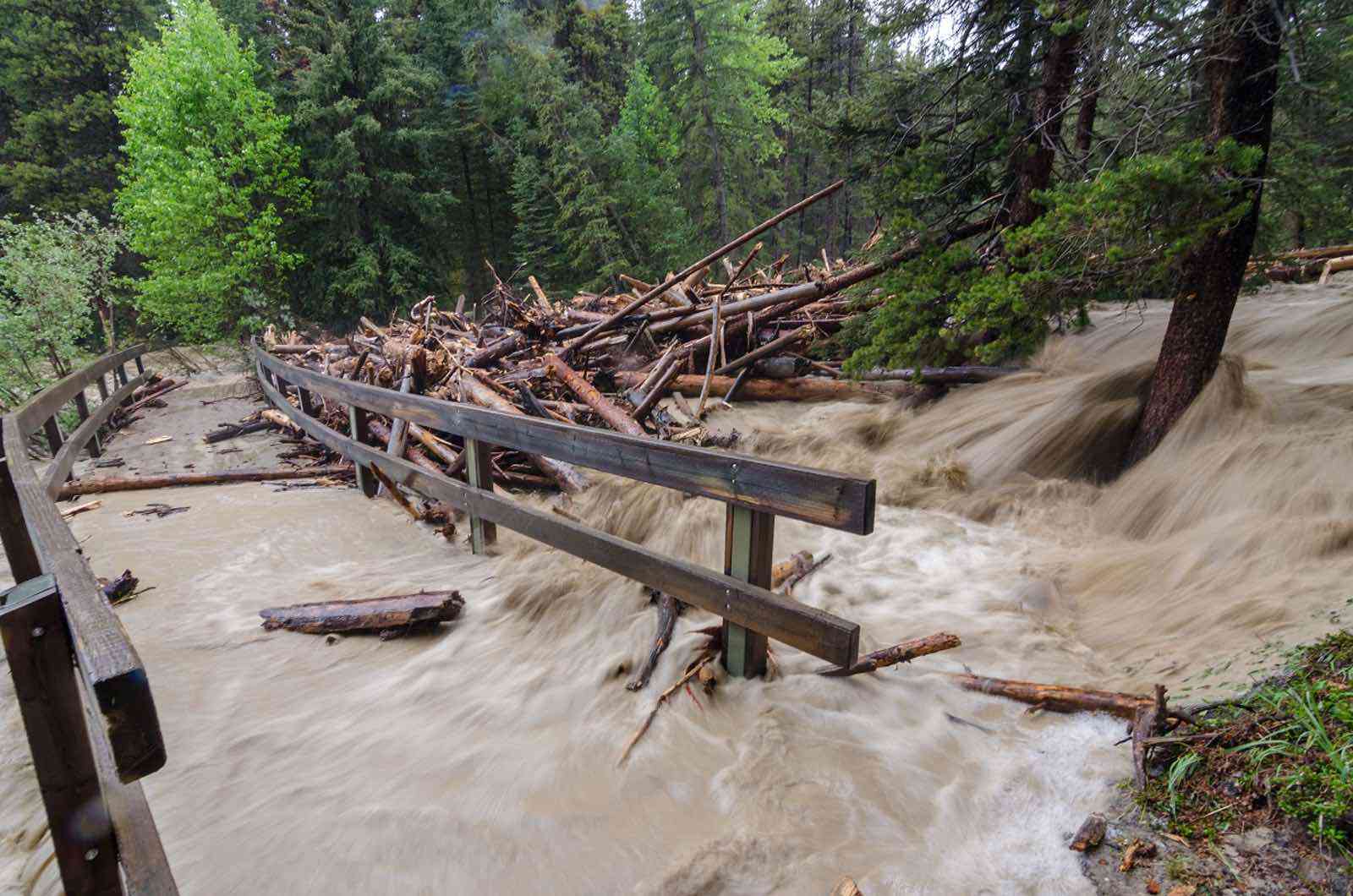 Hedge Fund and Quant Trading Guidance