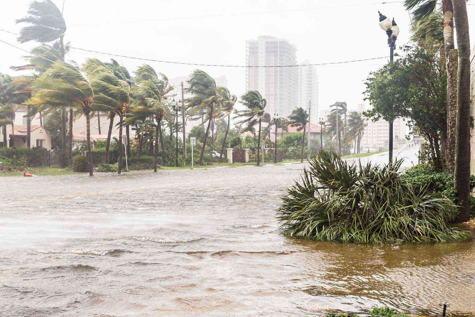 Weather and Climate Services Are Evolving. Is Your Business Strategy?